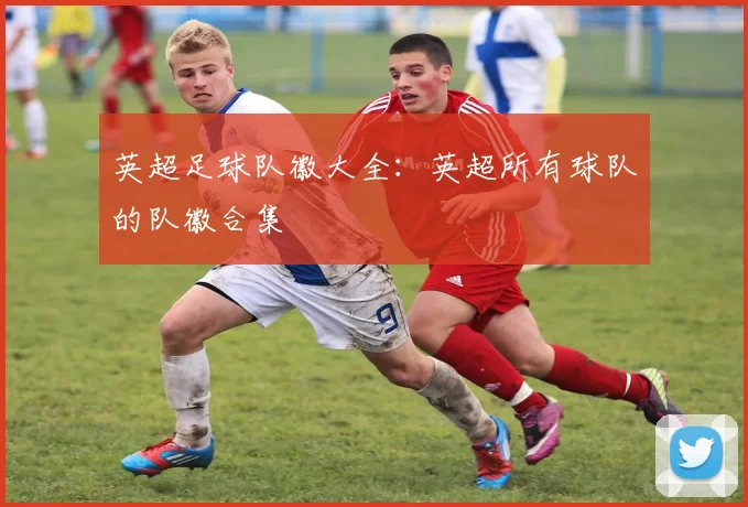 英超足球队徽大全:英超所有球队的队徽合集