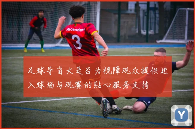 足球导盲犬是否为视障观众提供进入球场与观赛的贴心服务支持